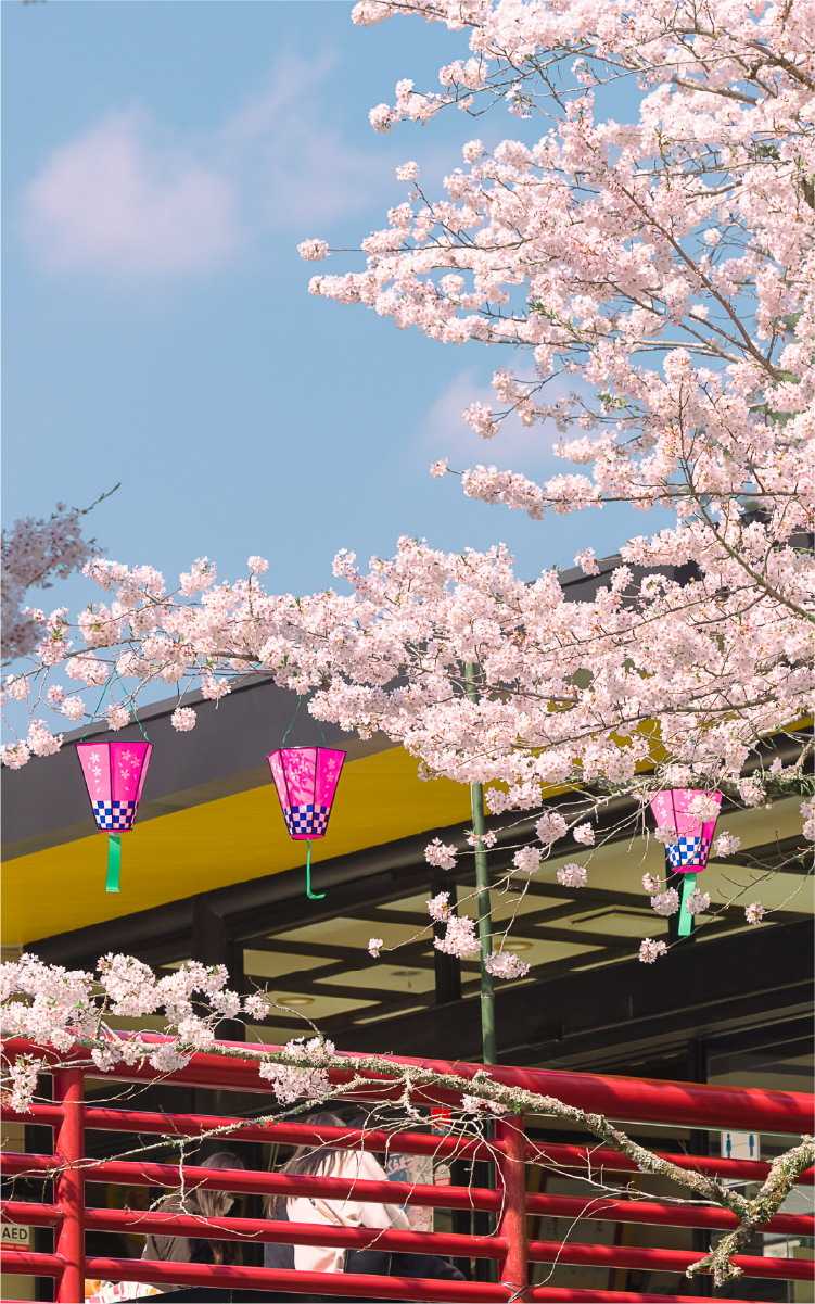 Fukuroi Cycling Life