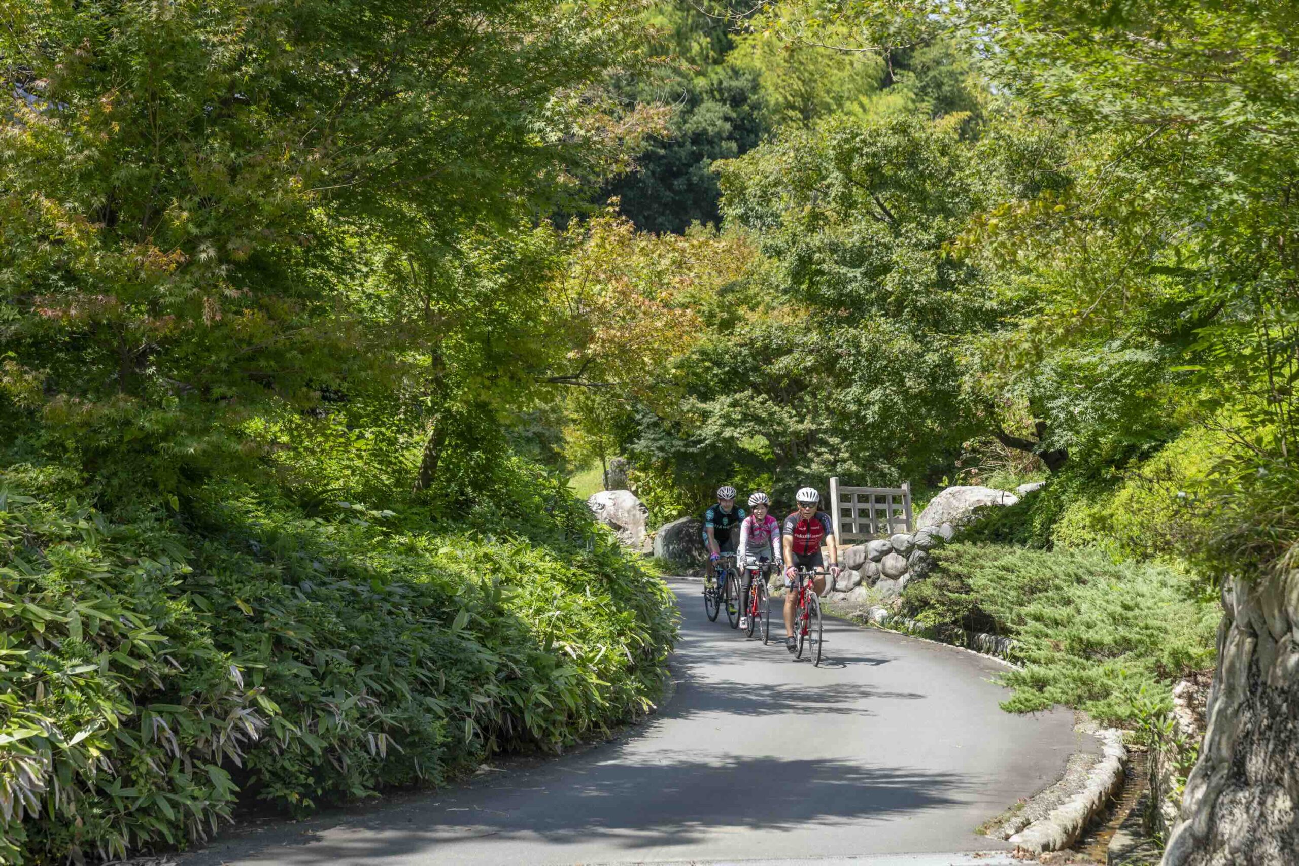 ［遠州三山］可睡斎・油山寺・法多山を巡る日本文化満喫旅