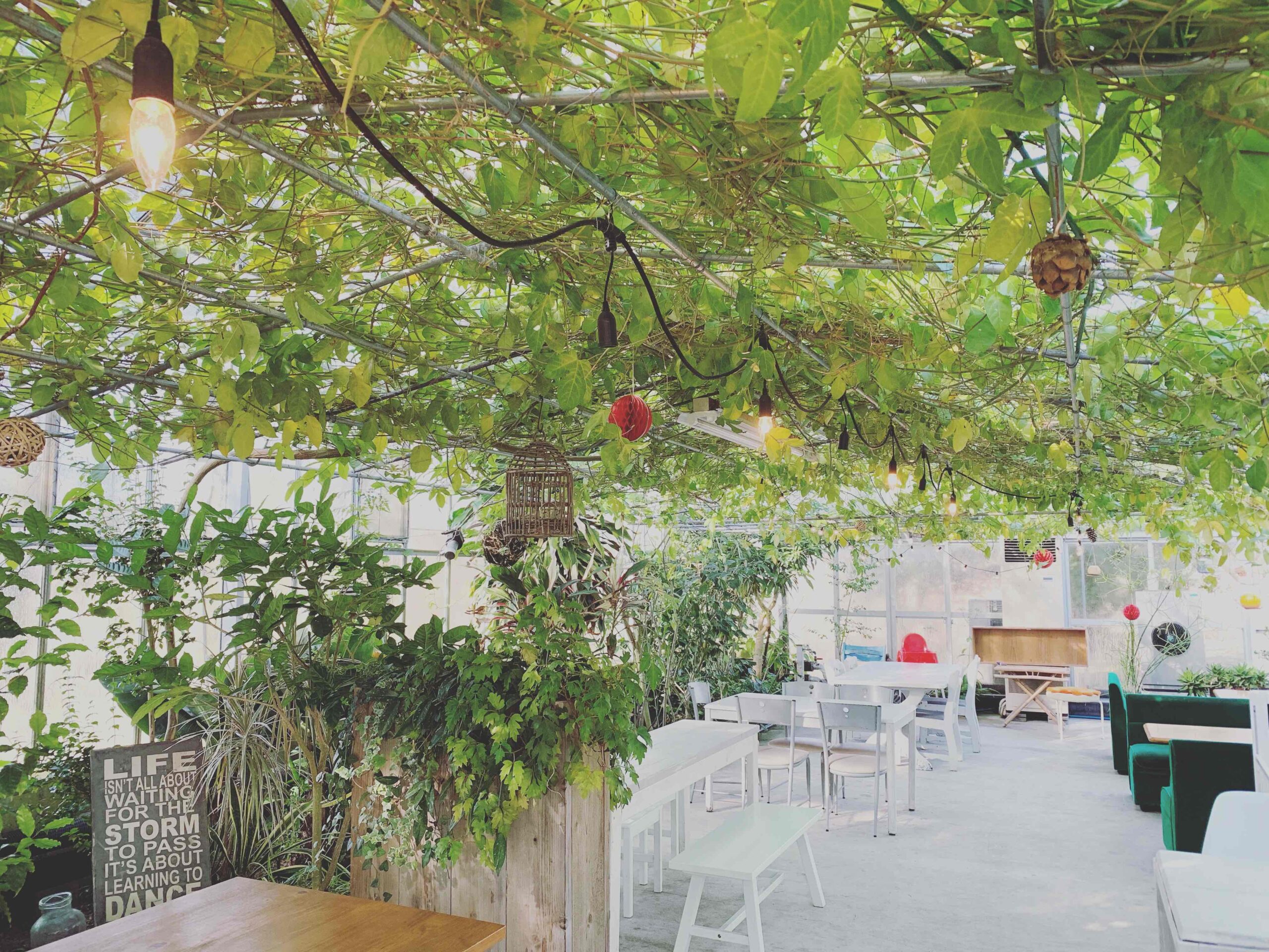 名倉メロン農場 fruit cafe NiJi