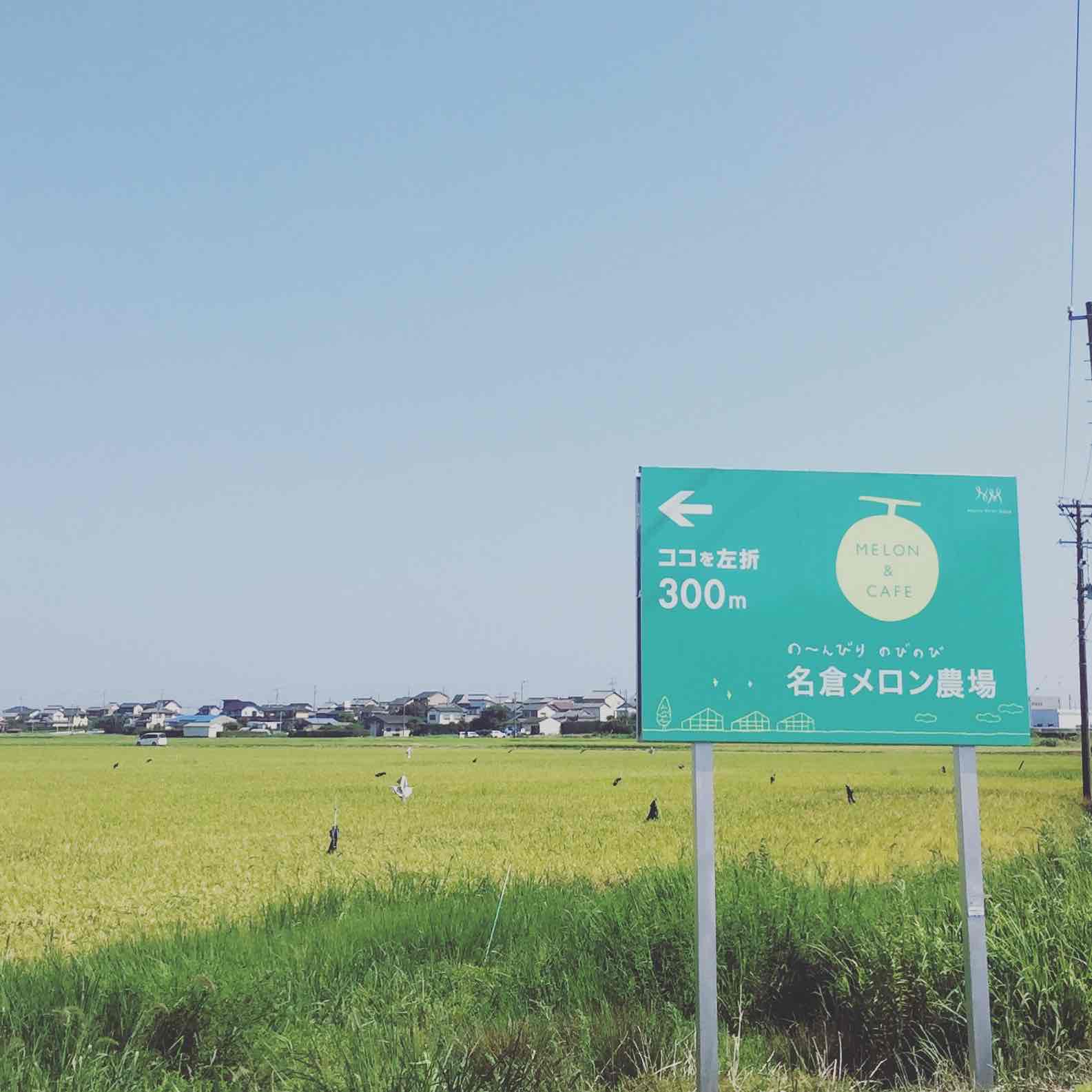 名倉メロン農場 fruit cafe NiJi