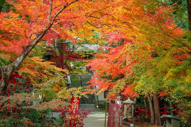 寺社巡りコース 北部バージョン