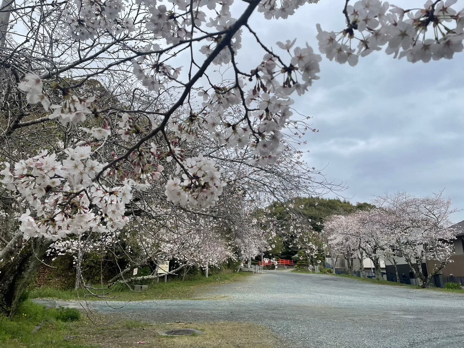 赤尾渋垂郡辺神社