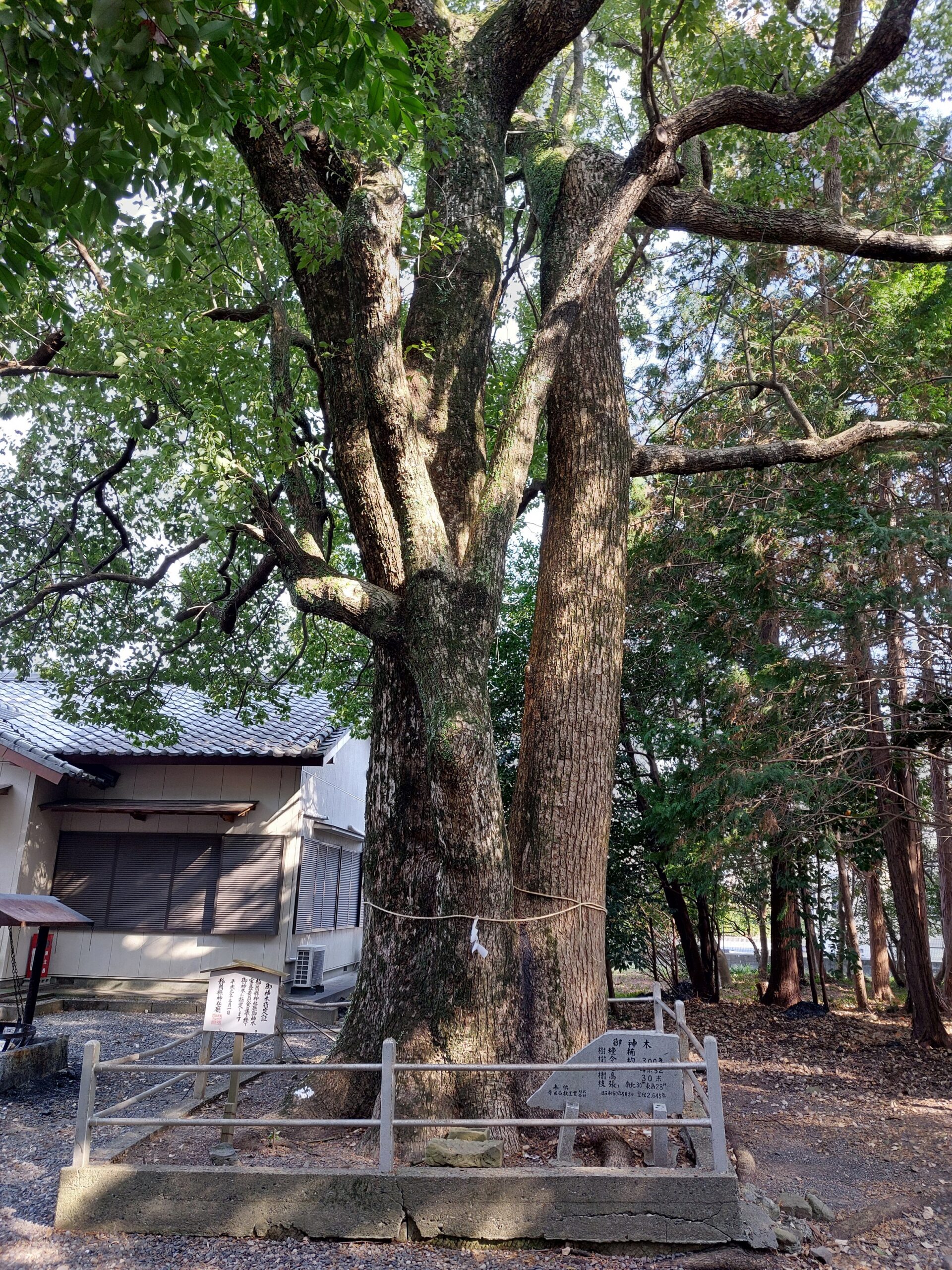山名神社