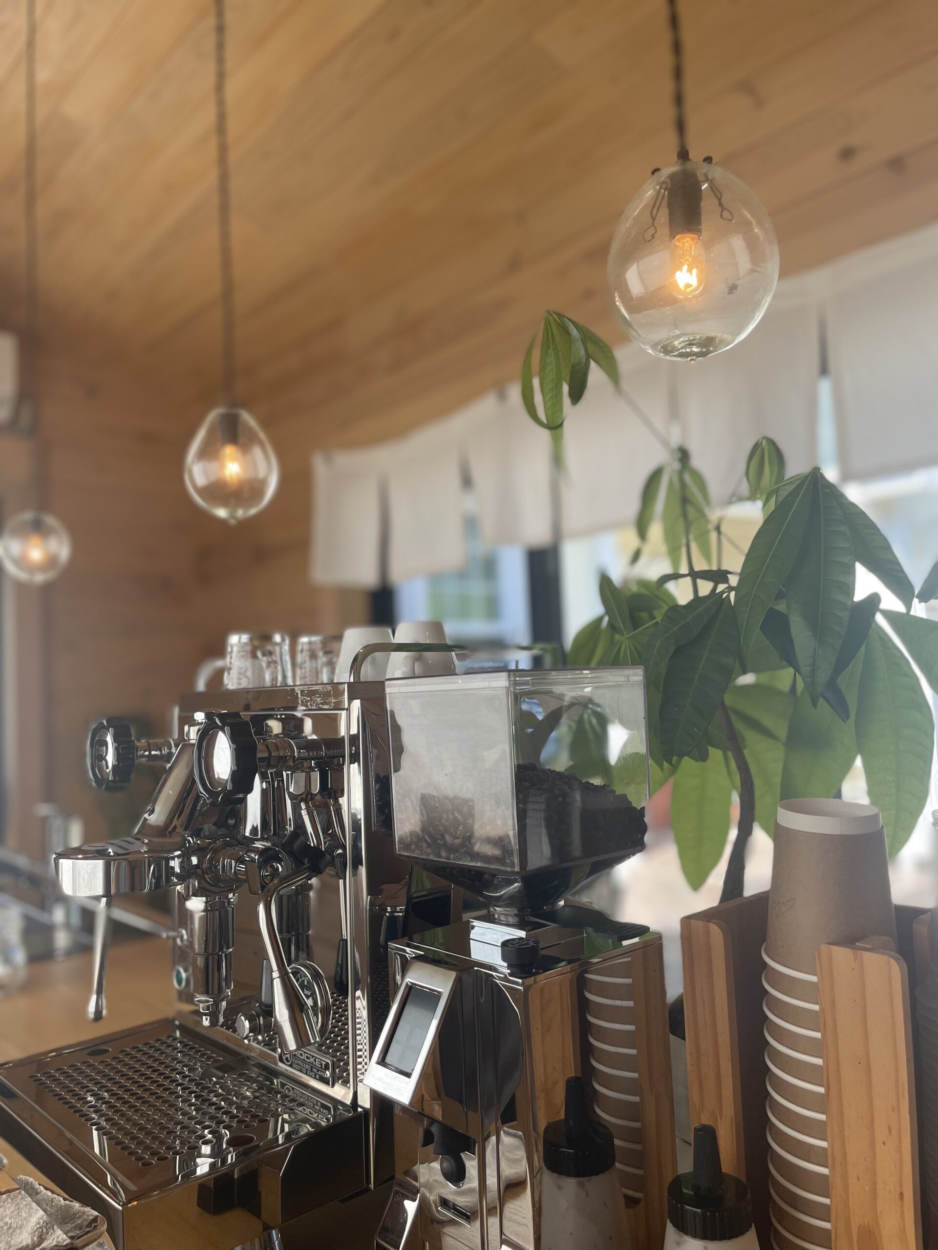 CAFFE LATTE 512