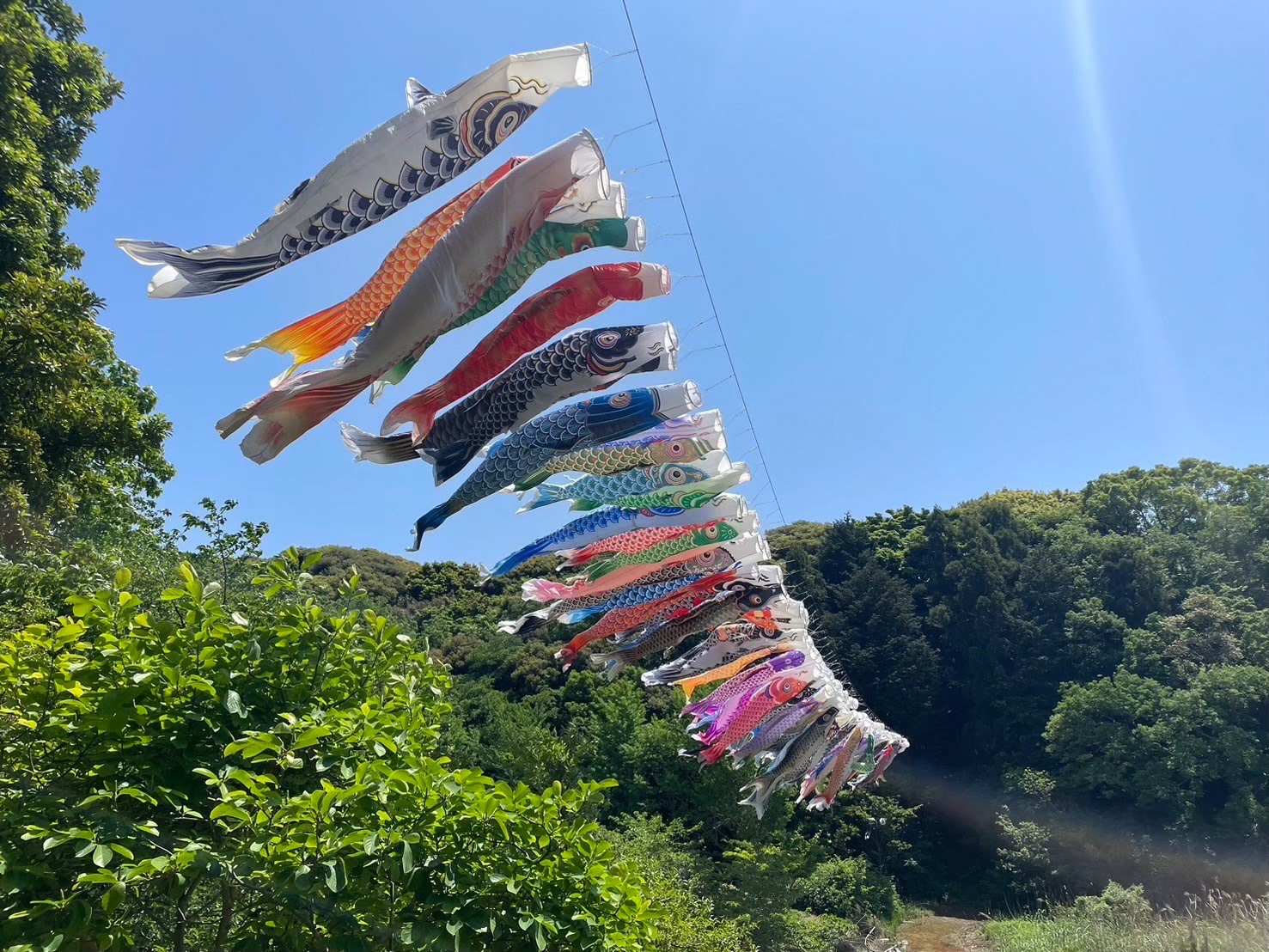 諸井里山公園（こいのぼりのスポット②）