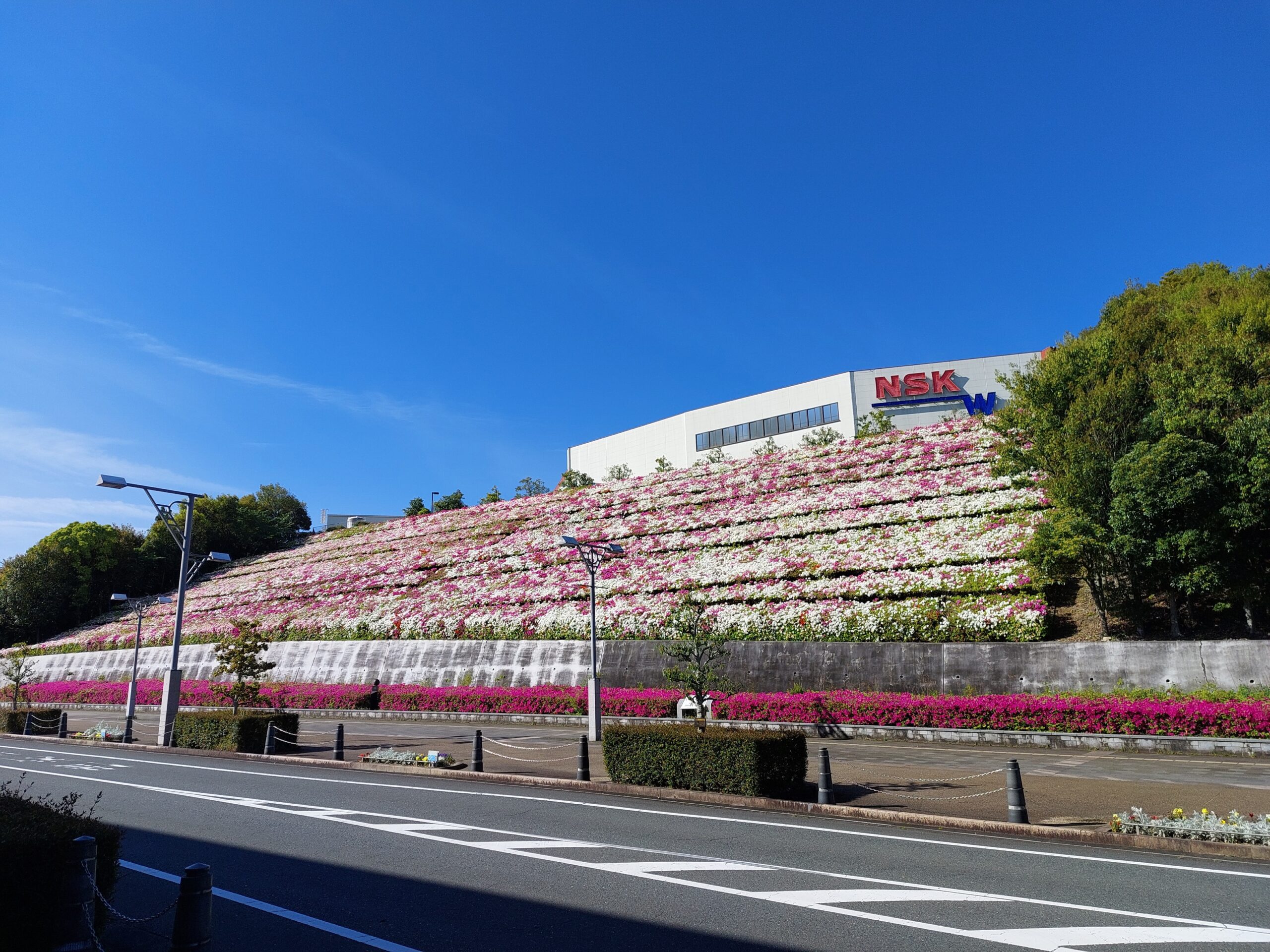 愛野駅南ＮＳＫワーナー敷地内（つつじのスポット）