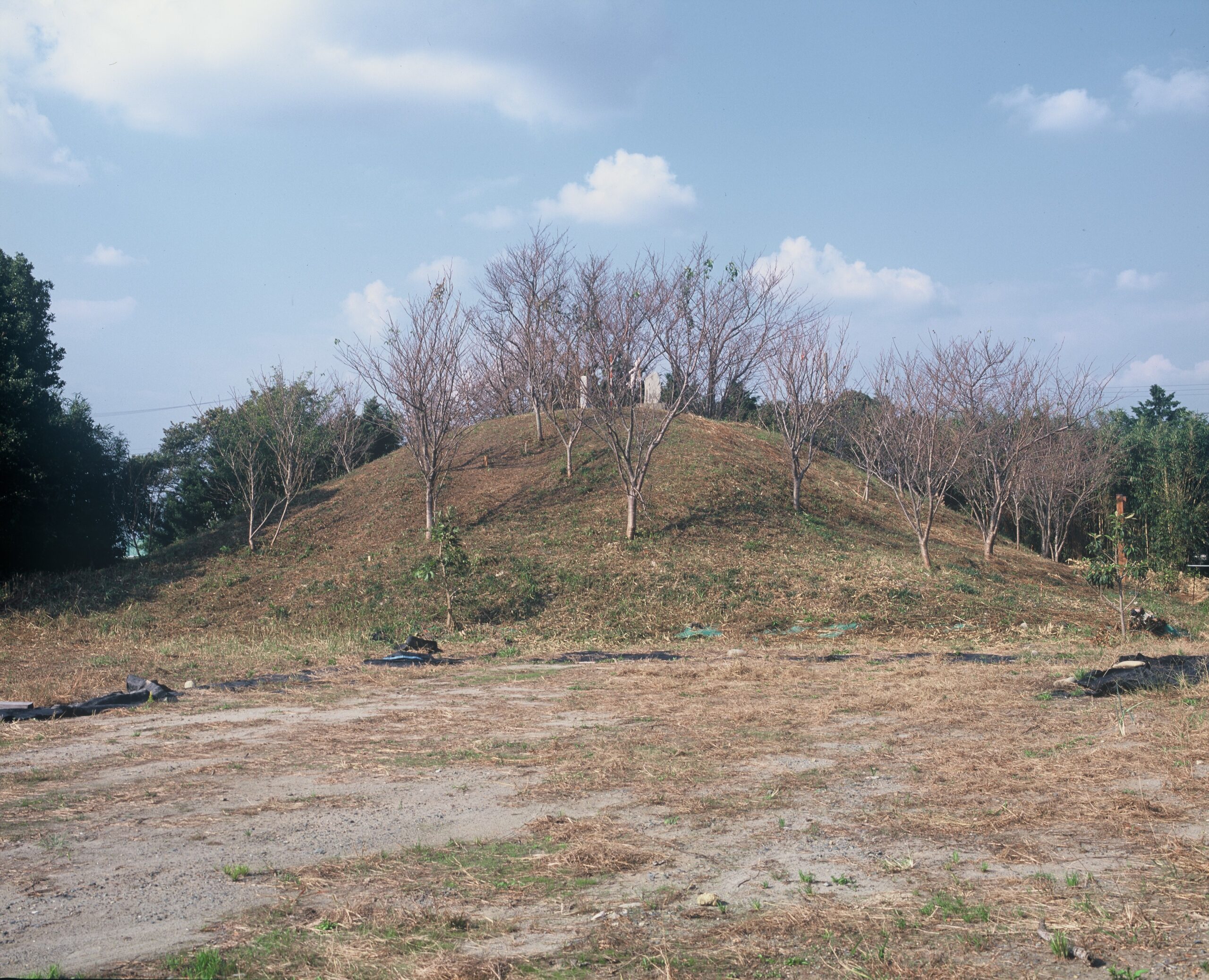 静岡県指定文化財「中新田命山」