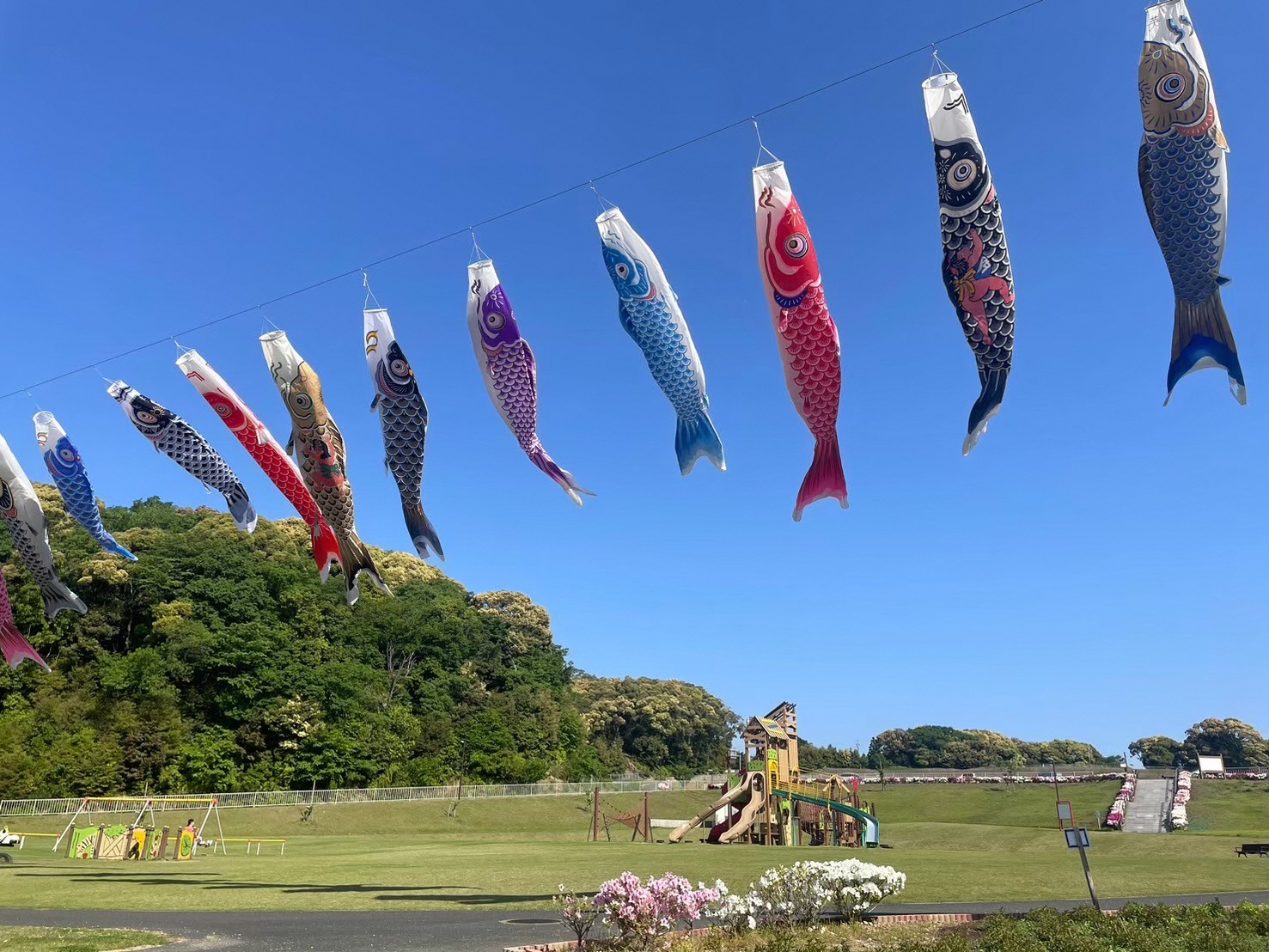 みつかわ夢の丘公園（こいのぼりのスポット②）（コスモスのスポット②）