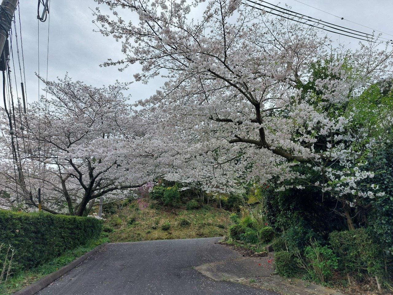 三清山　明香寺