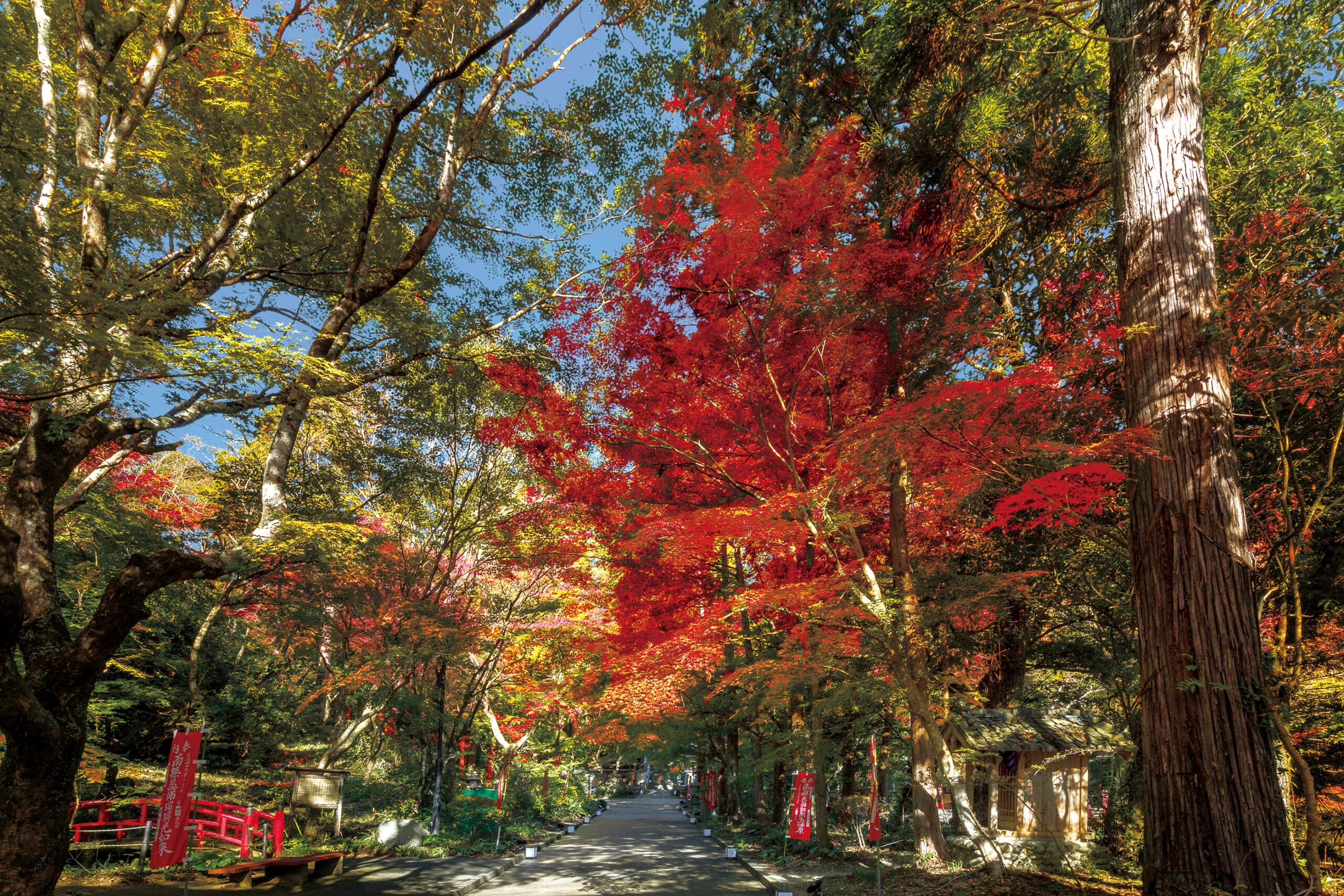 医王山　油山寺