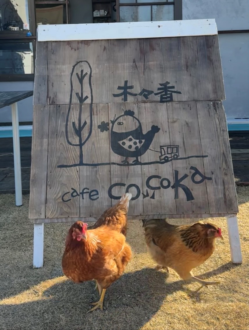 庭cafe木々香cocoka