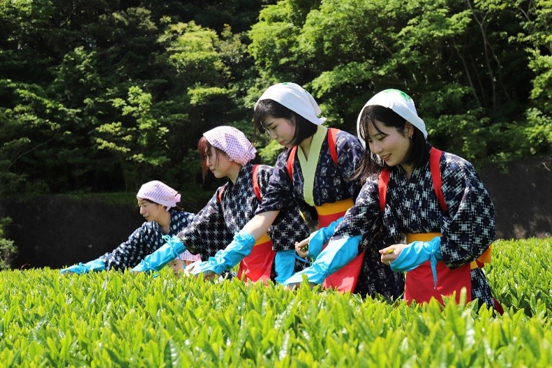 茶ピア直売所（遠州中央農業協同組合）