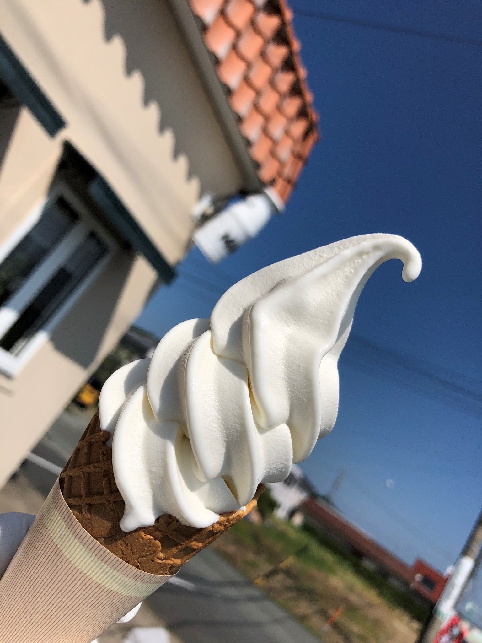 太田牧場モータの店